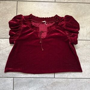 Free People Velvet Puff Sleeve Blouse - Burgundy